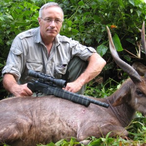 Western Forest Sitatunga hunted in Cameroon