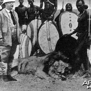 Theodore Roosevelt with Masai warriors and prize lion