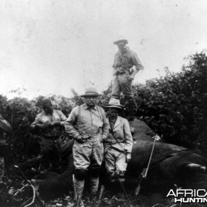 Theodore Roosevelt with elephant