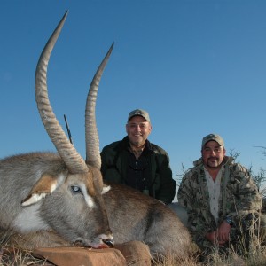 29 inch waterbuck