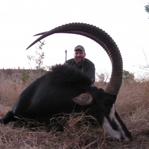 44" Sable