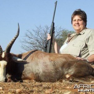 Blesbok hunted in South Africa