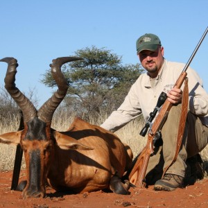 My monster South African Red Hartebeest