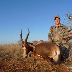 Bowhunting Blesbok South Africa