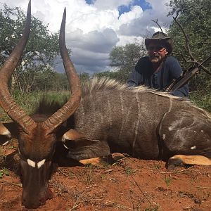 Nyala Hunt in South Africa