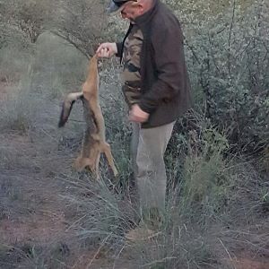 South Africa Hunt Jackal