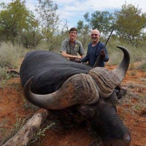 Cape Buffalo Hunting in South Africa