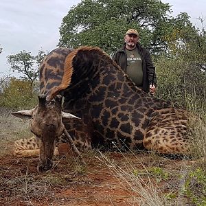 South Africa Hunting Giraffe