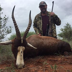 Hunting Blesbok South Africa