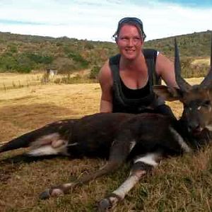 South Africa Hunting Bushbuck