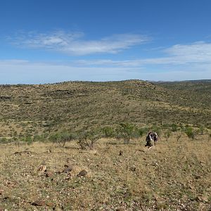 Namibia Hunt