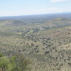 Namibia Hunt