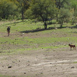 Hunting Namibia