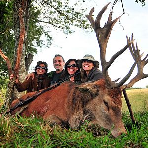 Red Stag Hunt in France