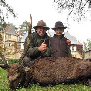 Sika Deer Hunt in France