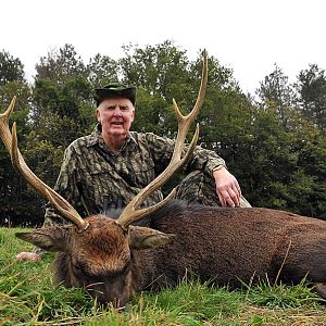 Sika Deer Hunting in France