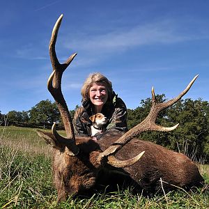 France Hunting Sika Deer