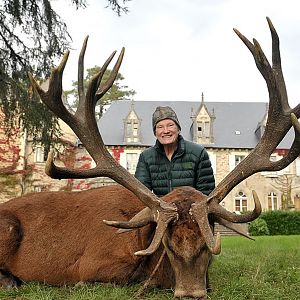 Red Stag Hunt in France