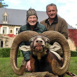 Hunting Mouflon France