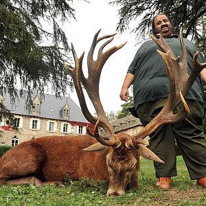 Red Stag Hunt in France