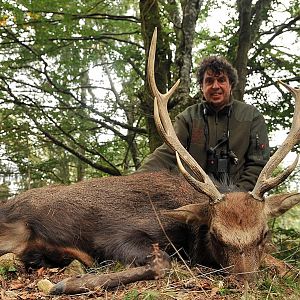 Hunt Sika Deer France