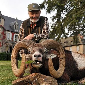 Mouflon Hunt in France