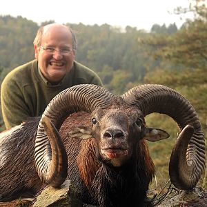 Hunt Mouflon France