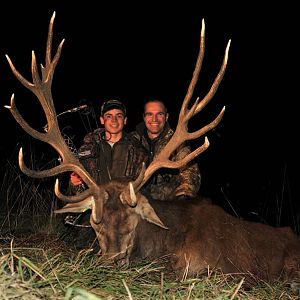 Red Stag Hunting in France