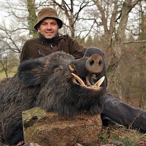 Hunt Wild Boar France