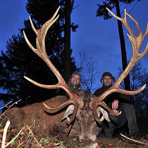 France Hunting Red Stag