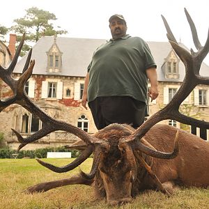 Red Stag Hunt in France