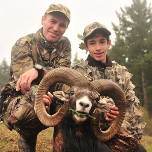 Hunt Mouflon France