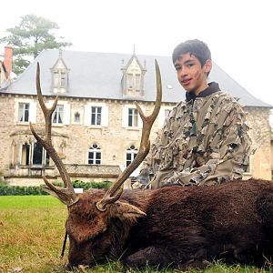 France Hunting Sika Deer