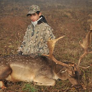 Hunting Fallow Deer France