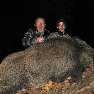 France Hunt Wild Boar