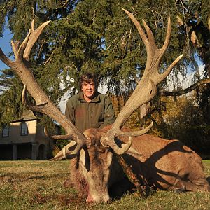 Red Stag Hunt in France