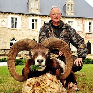 France Hunt Mouflon