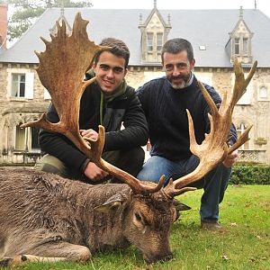 Fallow Deer Hunt in France