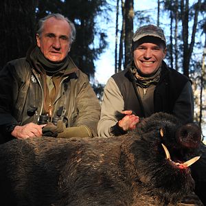 Wild Boar Hunting in France