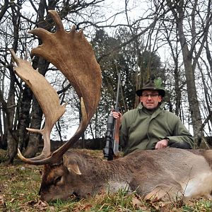 Fallow Deer Hunt in France