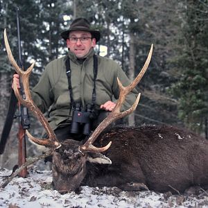 France Hunt Sika Deer