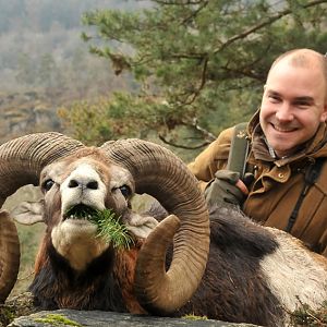 Hunt Mouflon France