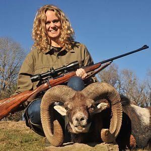 France Hunting Mouflon