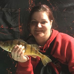 Perch Fishing