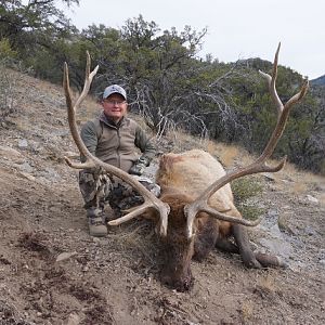 Elk Hunting Nevada