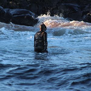 Seal Hunting Norway