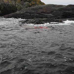 Seal Hunt in Norway