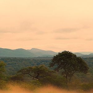 Zambia Lanscape