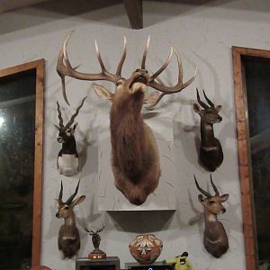 Trophy Room