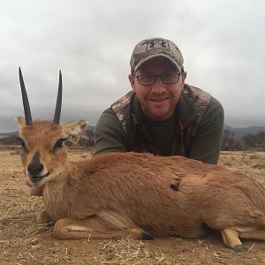 South Africa Hunting Steenbok